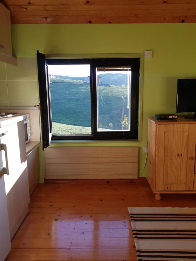 Apartments Hill House Zlatibor Kültér fotó