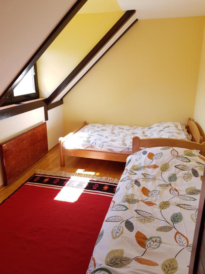 Apartments Hill House Zlatibor Kültér fotó