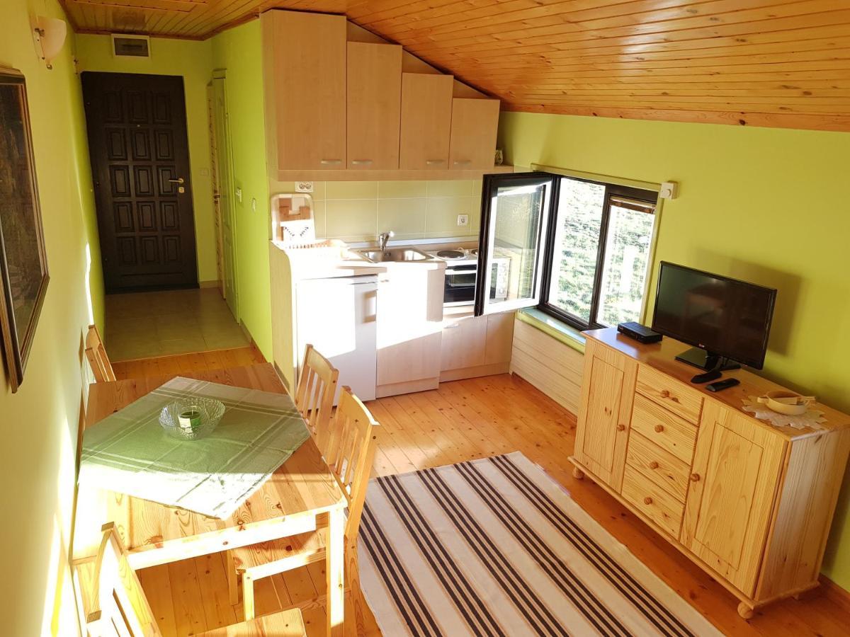 Apartments Hill House Zlatibor Kültér fotó