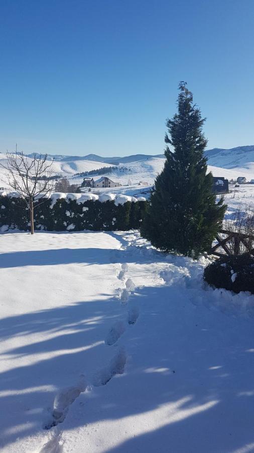 Apartments Hill House Zlatibor Kültér fotó