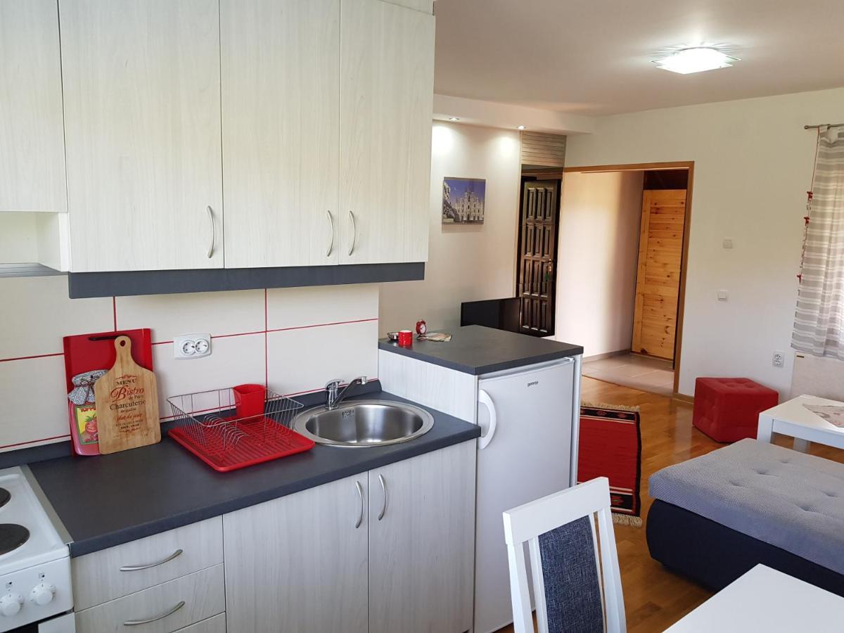 Apartments Hill House Zlatibor Kültér fotó