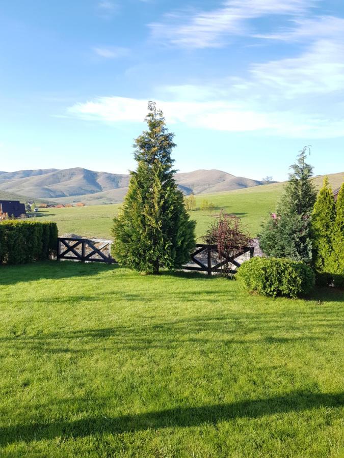 Apartments Hill House Zlatibor Kültér fotó